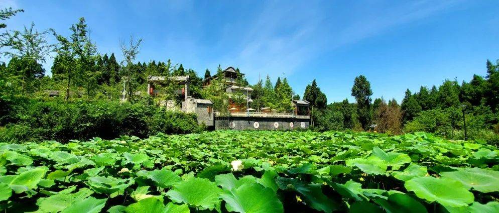 全省仅8个!资中一地被授予天府旅游名宿,这个假期可以约起_资中县