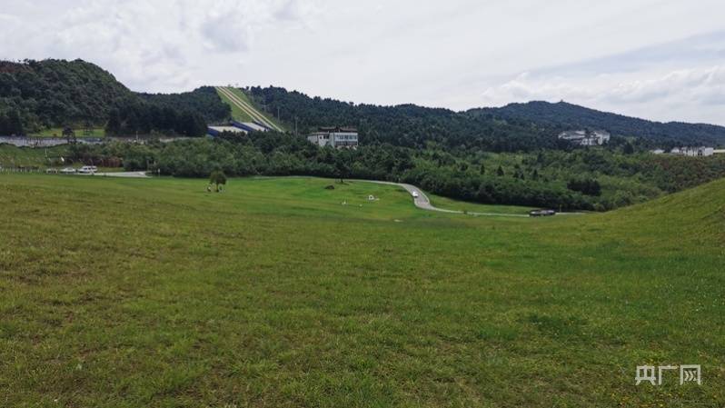 贵州|贵州：守得一片绿 能换金山来