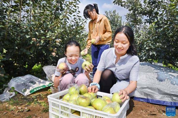 新区|青岛：近郊乡村游 假期好选择