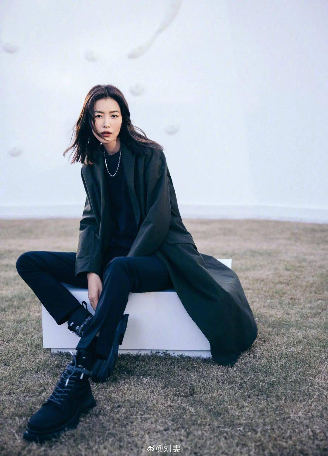 刘雨昕 怎么它让倪妮、刘雨昕都上头？