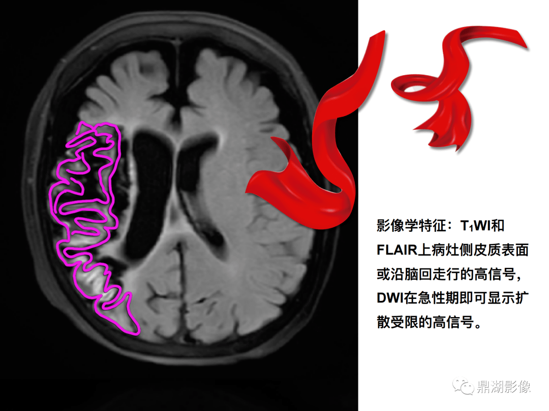 7911b41ee628432aa721a6237418cd12.png