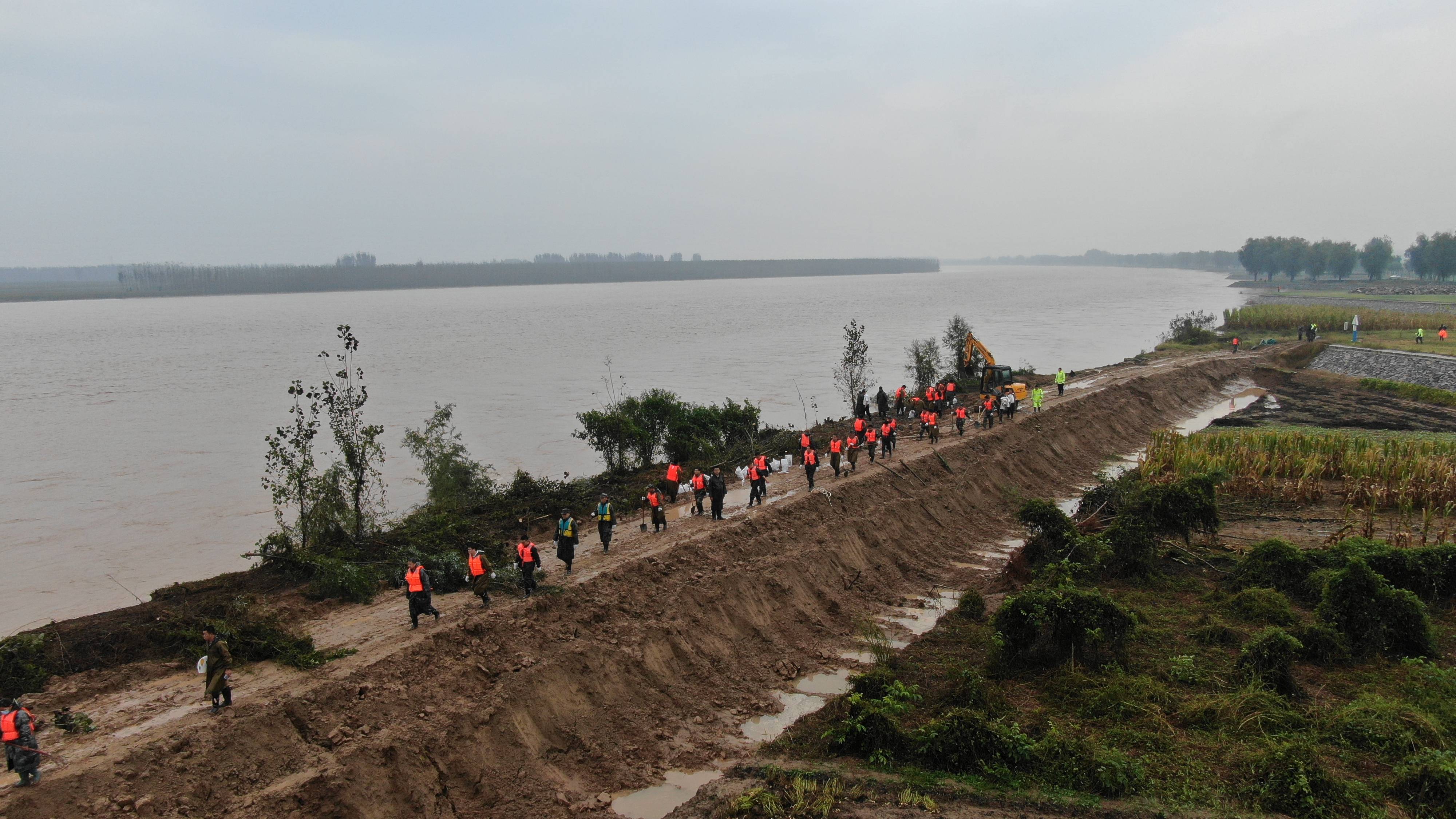 10月3日,在山东省邹平市码头镇段家村黄河生产堤上,抢险人员加固堤坝.