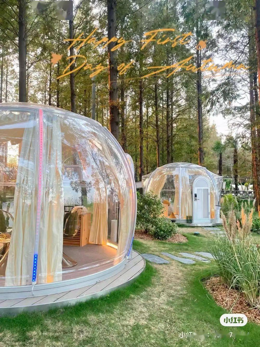 在搭配拱形小门的可爱泡泡屋里走进如梦幻花园般的"林里小坐"在这里