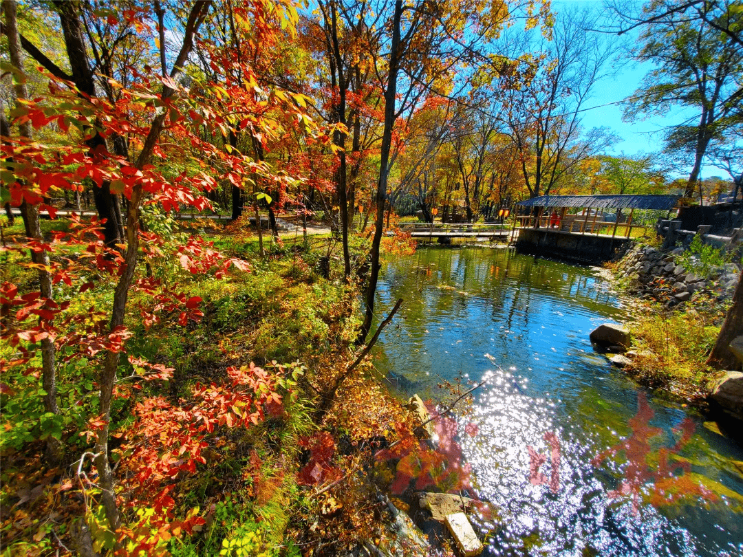 吉林市这些地方,有绝美的秋景