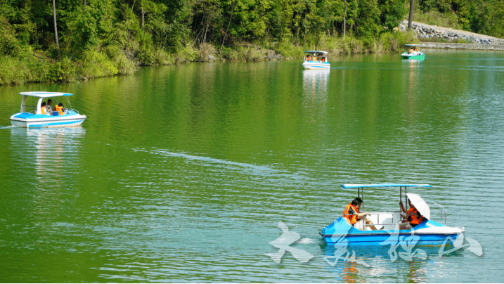 独山县融媒体中心 韦宗斌编辑 韦万利编审 张明辉