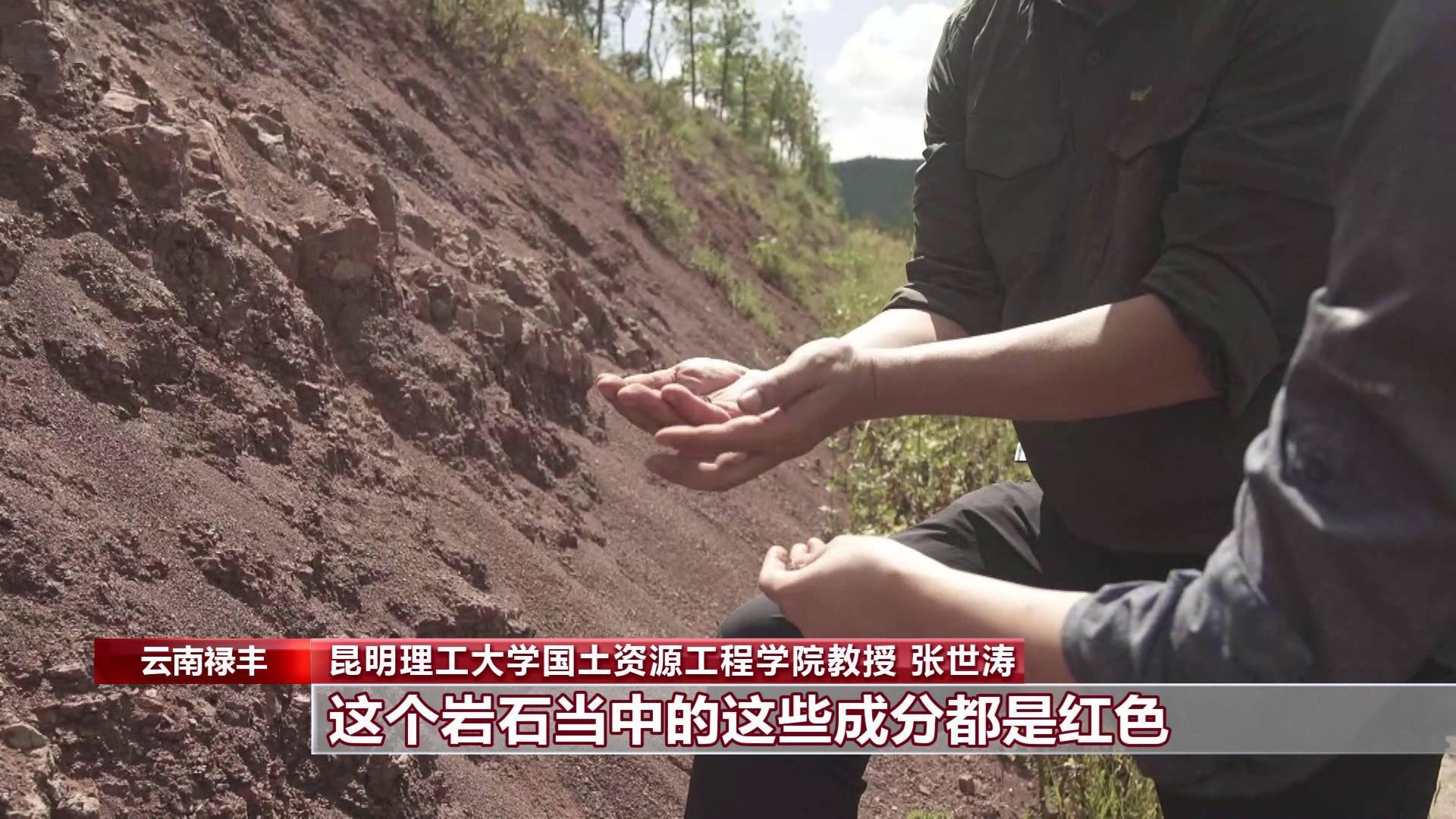 化石|云南禄丰恐龙科考“啃硬骨头”：恐龙化石如何修复？