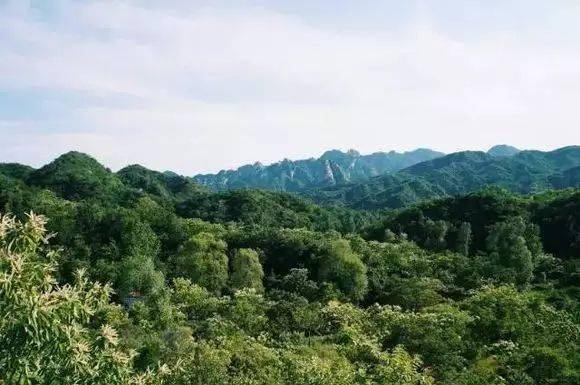 梦想季隐士山谷图片