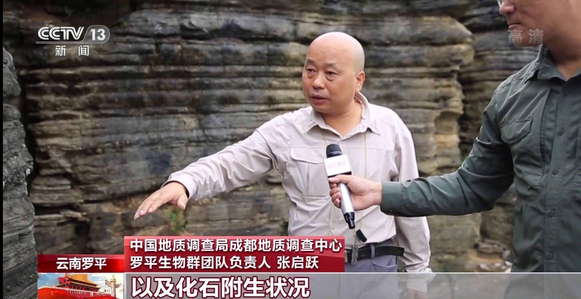 化石|云南禄丰恐龙科考“啃硬骨头”：恐龙化石如何修复？