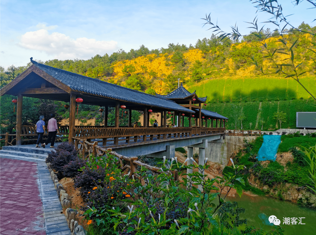 丰顺这个新公园惊艳亮相有望远镜茅草亭老年人步道