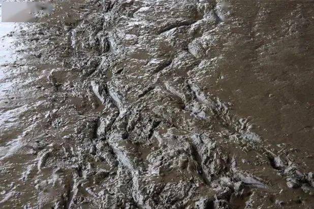 一旦被困就会越陷越深相当于沼泽地而且积层较深沙泥不仅松软母子所处