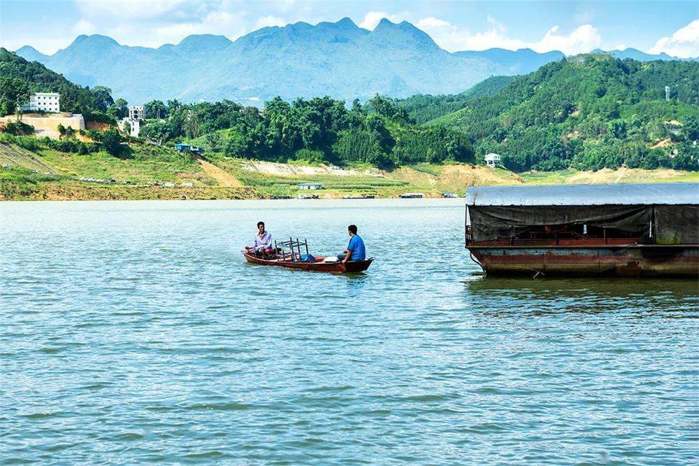 【新闻纪实】津门网张小村:渔港人家