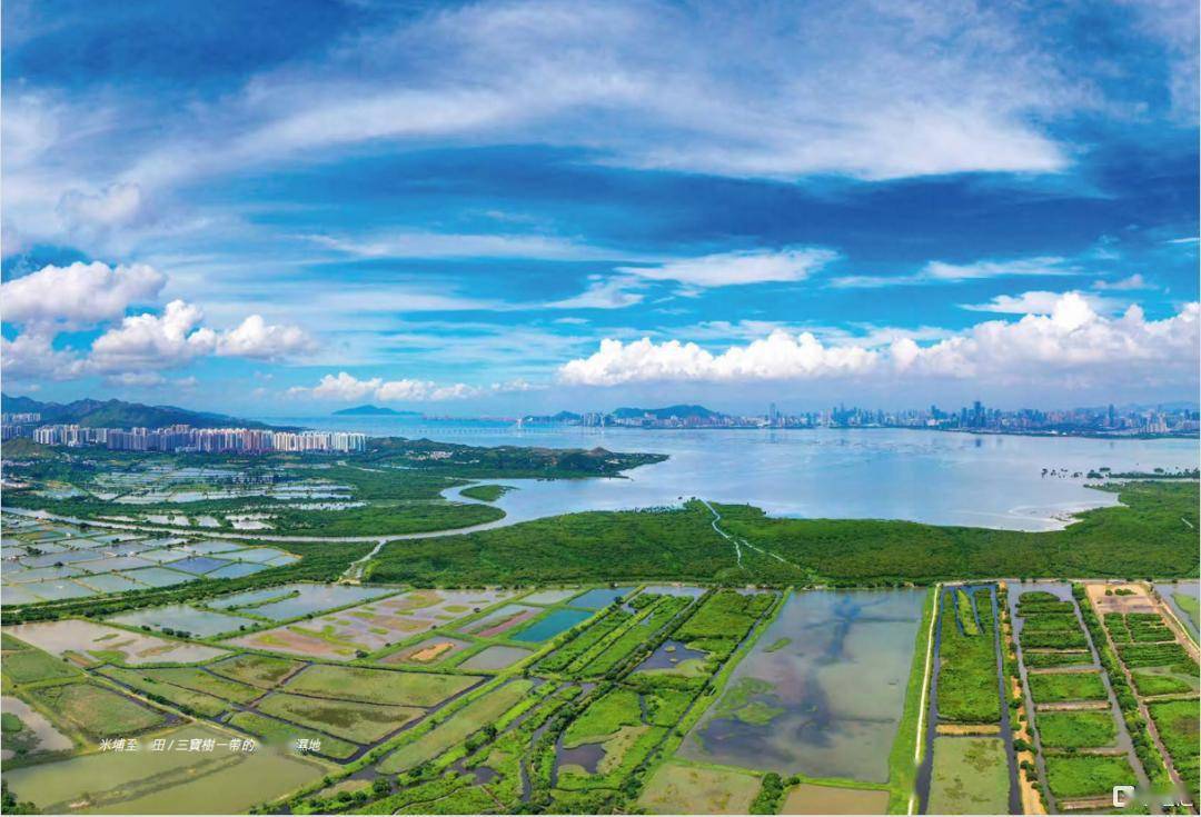 2013年香港就讨论在新界北沙岭兴建一座超级殡葬城,2017年获得18.