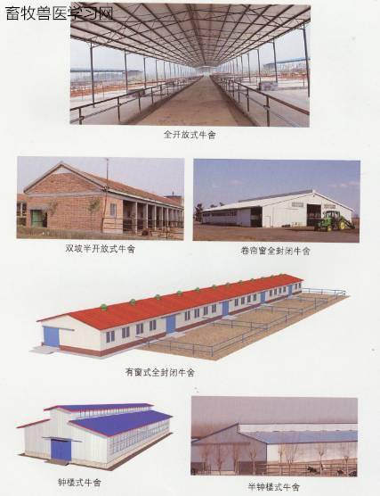 哪种牛舍类型最经济适用,而且适合我们养牛人!_牛棚