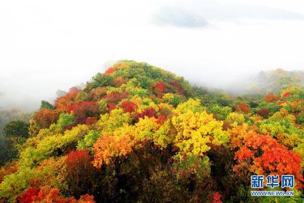 胜景|黑龙江凤凰山：山披五彩 云蒸霞蔚