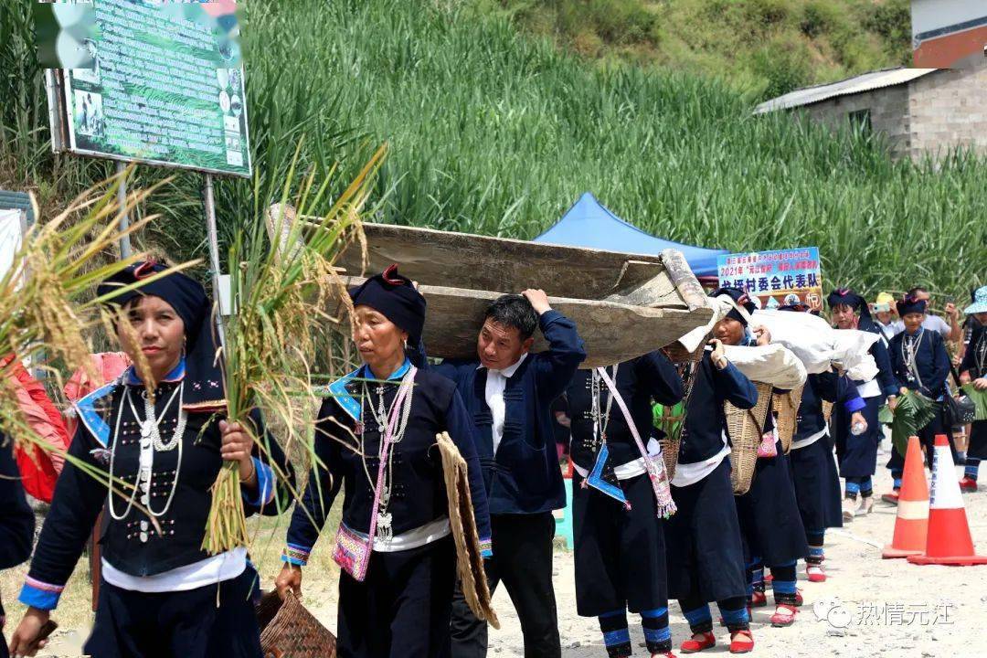 哈尼族有多少人口_哈尼药爷 哈尼族首部母语电影,讲述外人所不