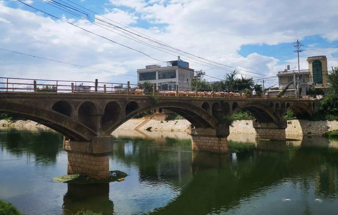 云南陆良寻访南盘江的新河故道