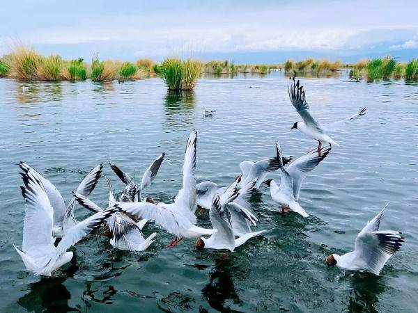 乌鲁木齐市|寒露至，秋更浓，幸福不过有人为你添衣