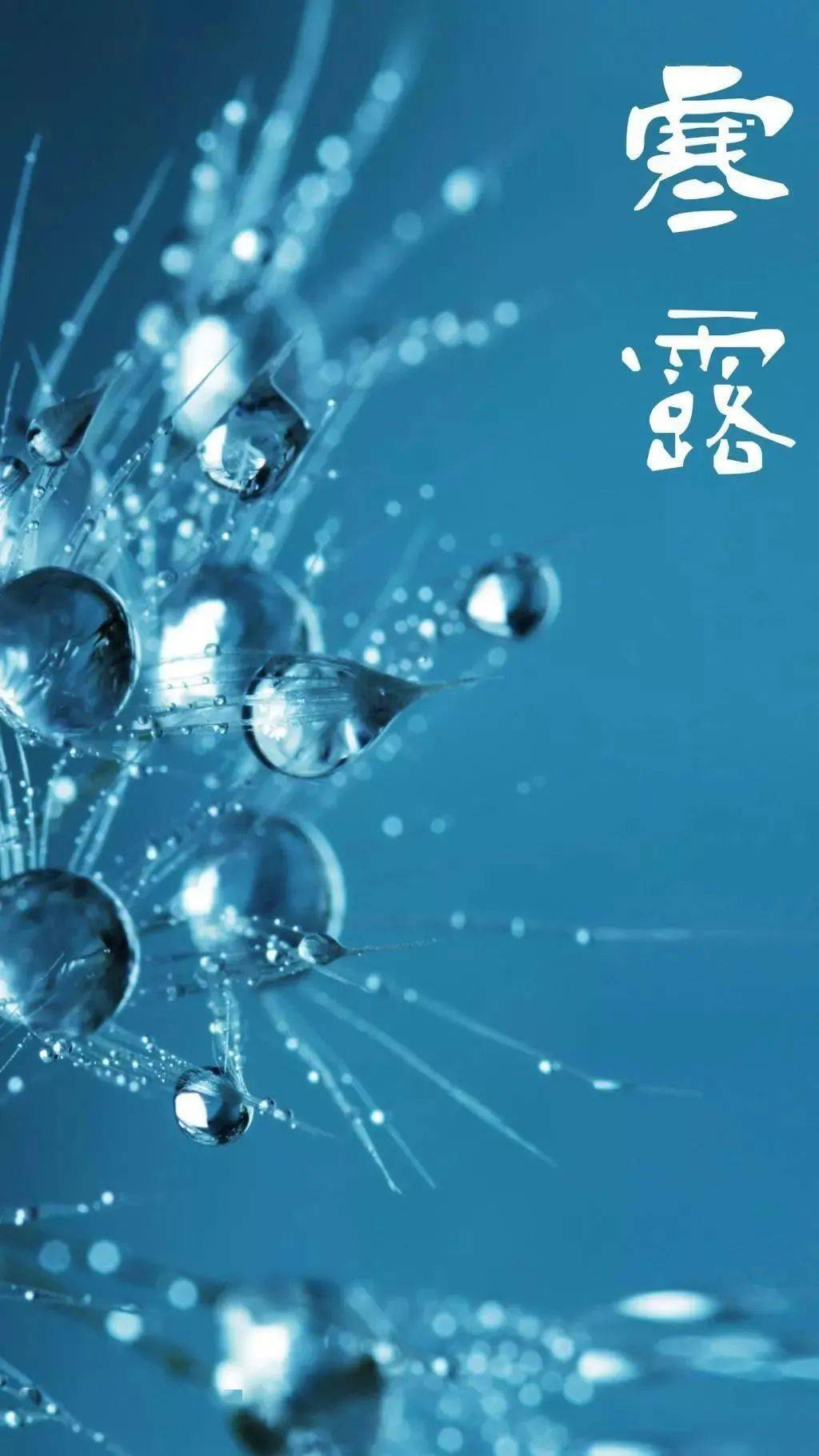 二十四节气露水盈盈寒气渐盛