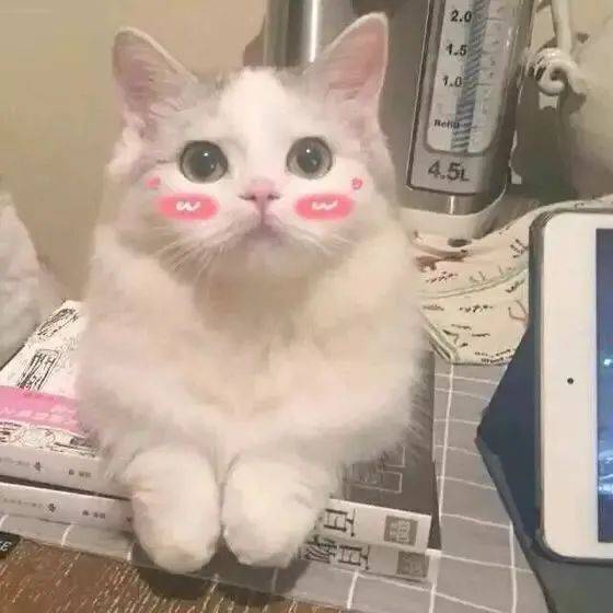 喜剧|国庆特辑！李力持导演分享喜剧幕后那些事儿