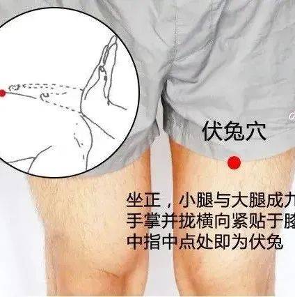 敲打大腿,就能治腰疼腿痛肩颈痛,太厉害了!_气血