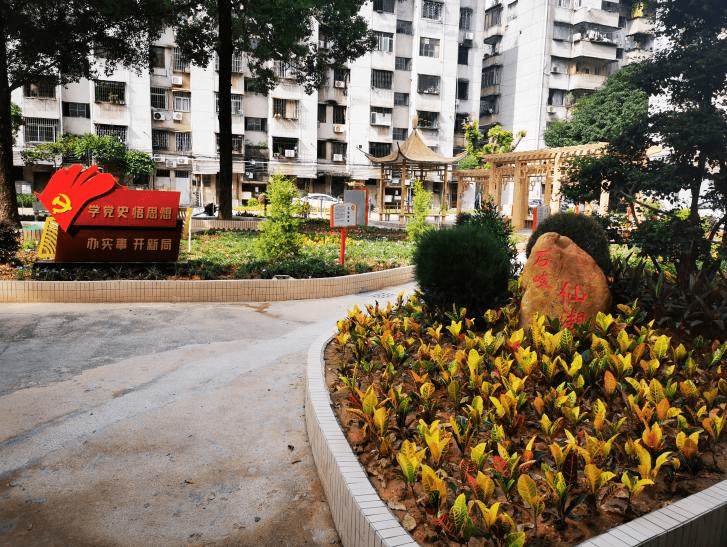 最美同心园⑥仙湖社区党群服务中心聚民心强服务打造家门口的最美同心