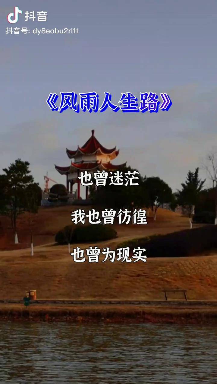 也曾迷茫也曾彷徨一路走来跌跌撞撞风雨之中学会坚强风雨人生路