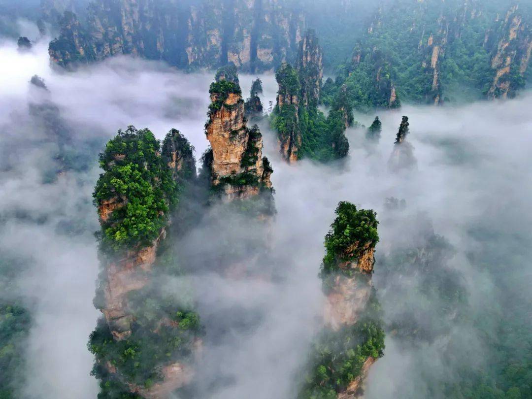 【美图欣赏】津门网陈旻:独特的张家界地貌_中国