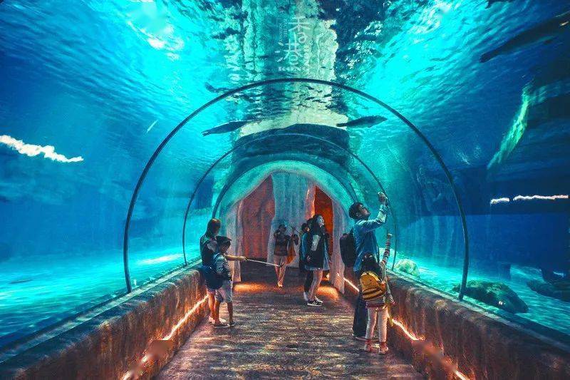 《七天畅游北海日记》:假期虽过,快乐不过_happy