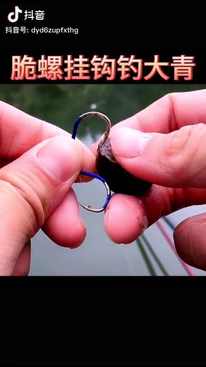 铁螺打窝,脆螺作饵钓鱼技巧 钓鱼 钓鱼人