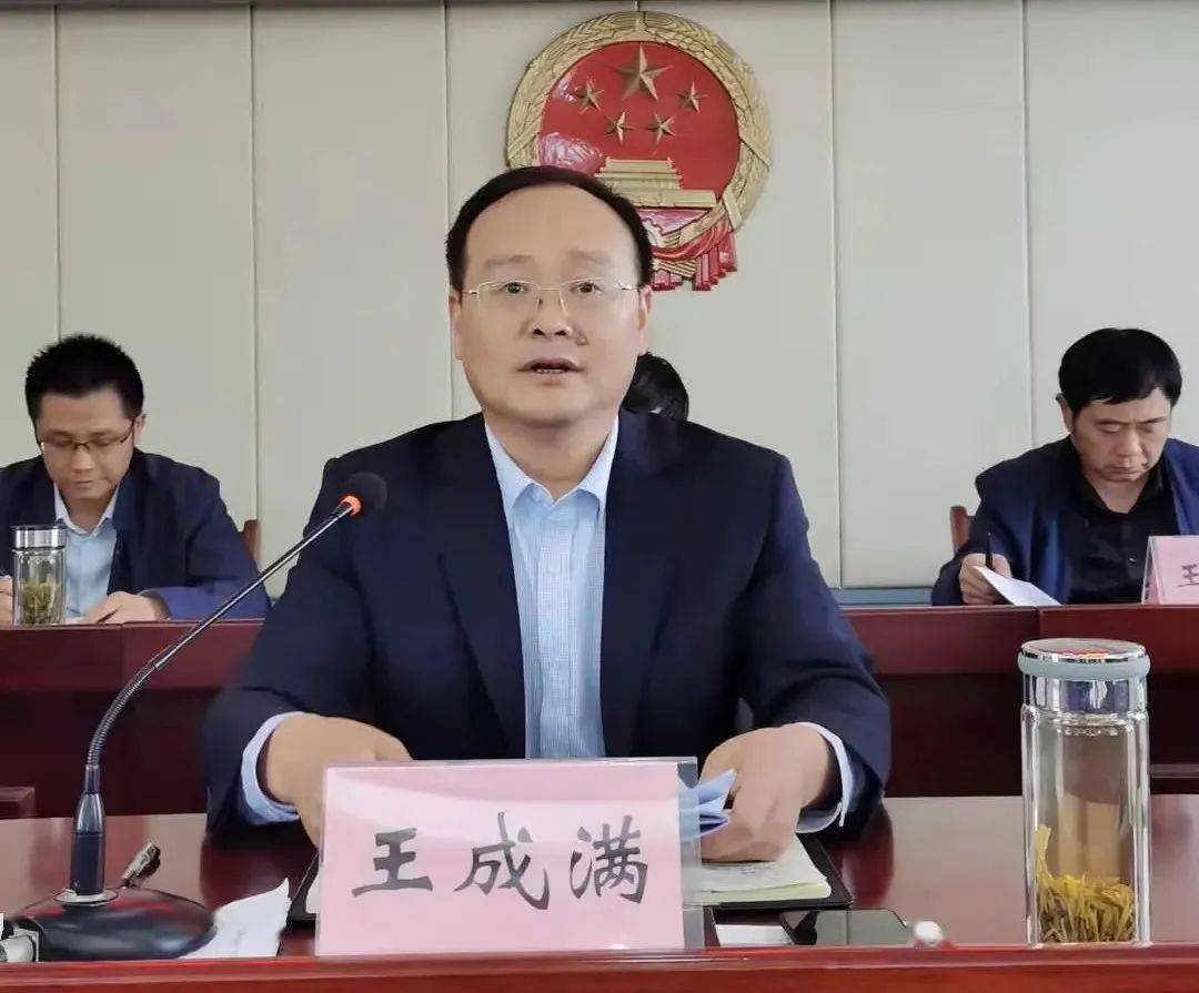 会议由镇党委副书记,镇长李安洲主持,槐林镇村(社区)