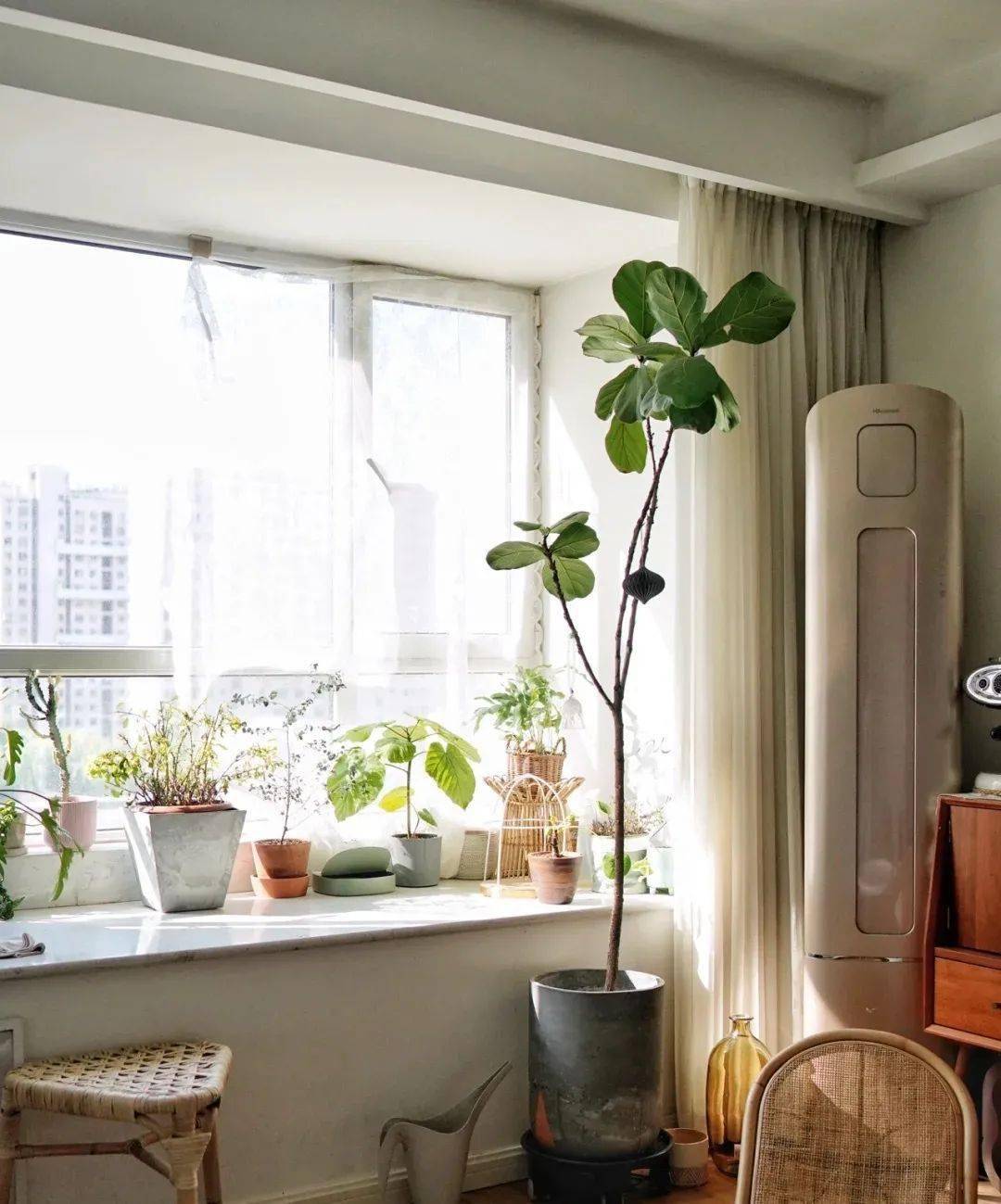 飘窗改造成功案例 4099b7fb3b3147f682fbc8d833ecb181.jpeg