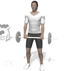 60b209aff9b14d73b53e33d2b316cd29.gif