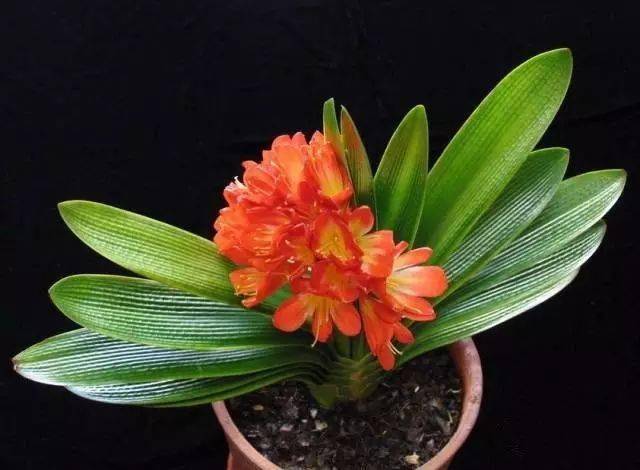 130�� · ������ͥ����ֲ������������֣�