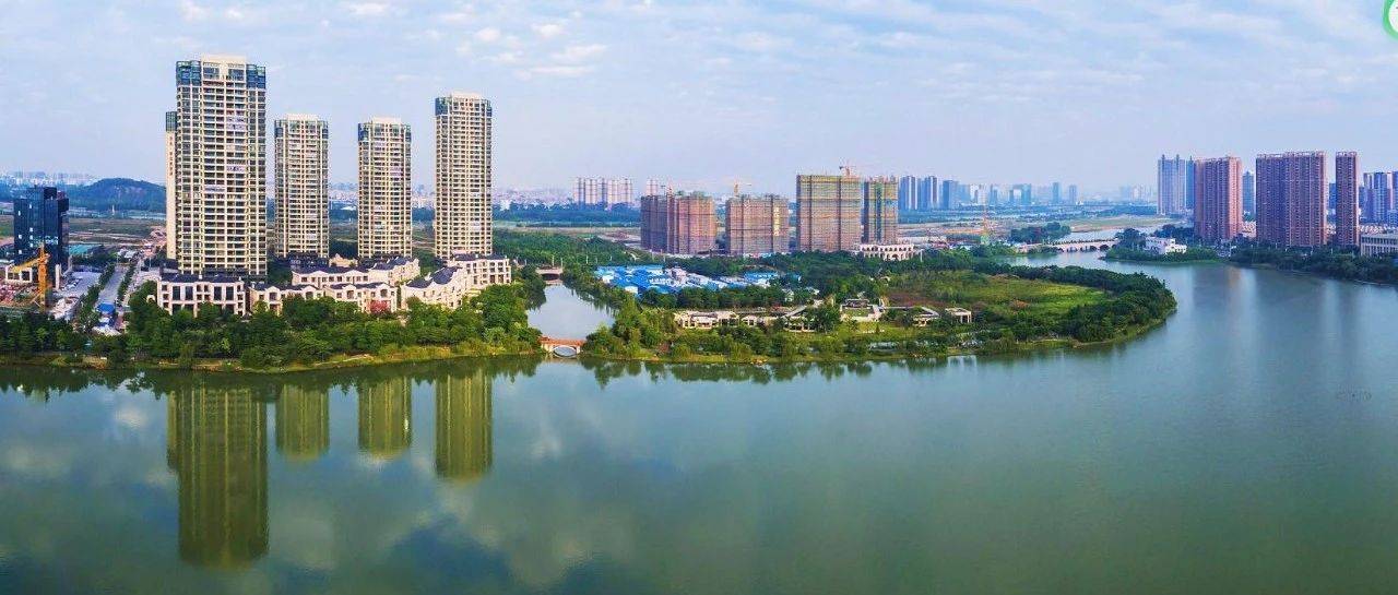 禅城绿岛湖学校最快明年上半年动工!预计2024年投入使用_佛山