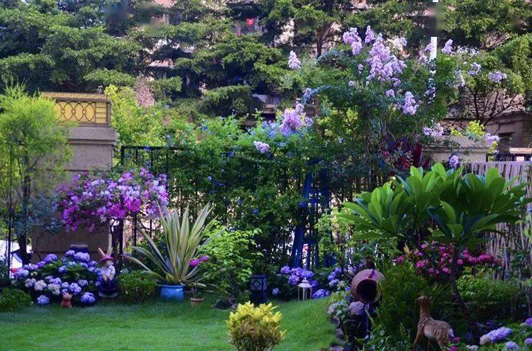 120平米南向院子被她改造成低维护英式风格的自然式花园美出天际