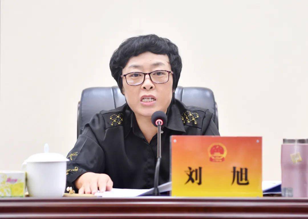 市人大常委会副主任刘旭,杨智分别主持相关议题会议.