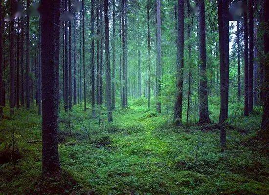 消息资讯如何巧妙安排照片中人、景、物的位置？