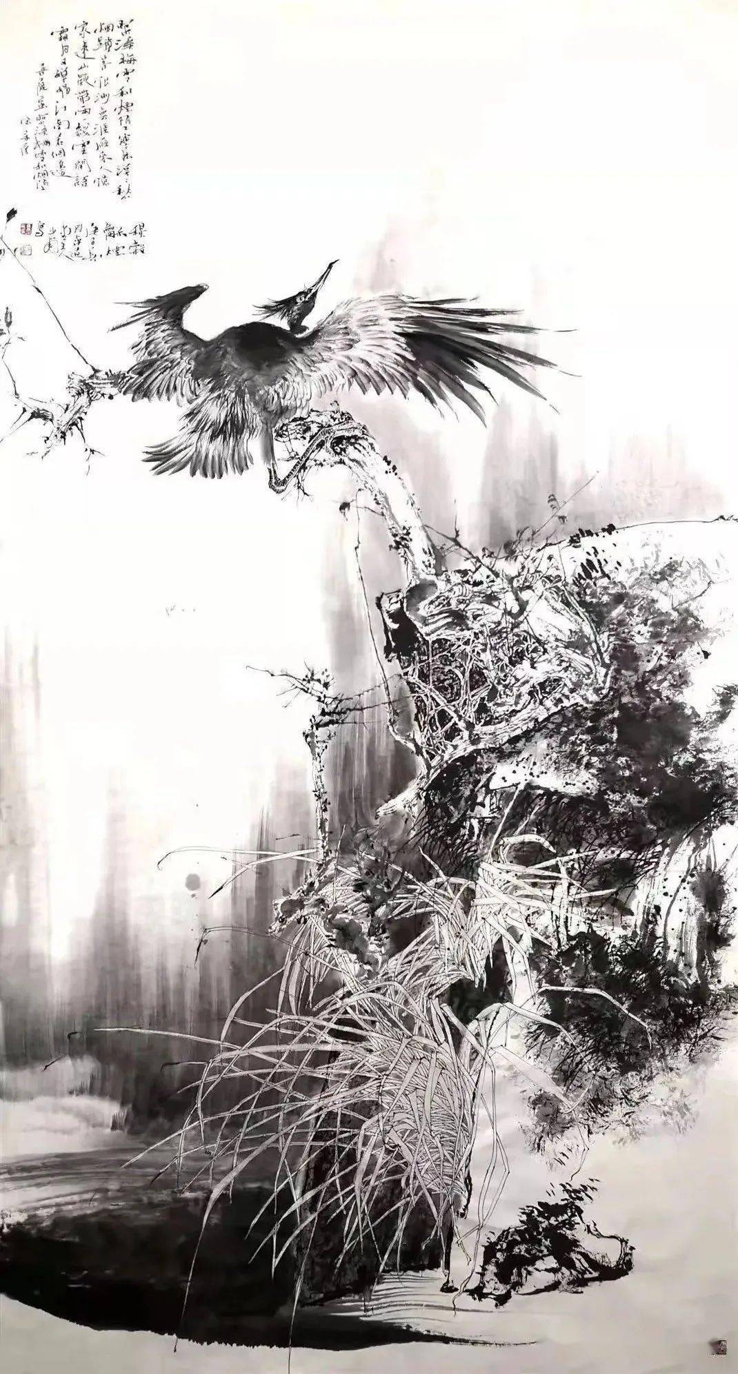 毛峰  山东潍坊