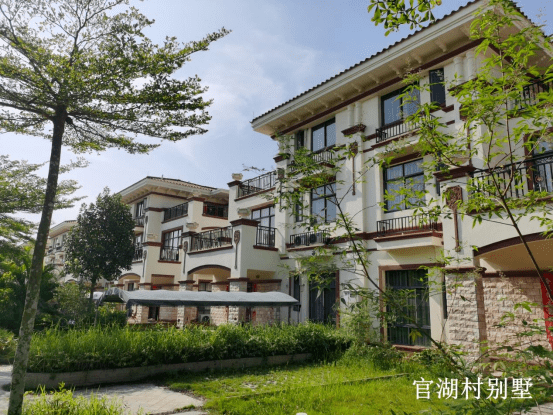 2013年之前,官湖村的村民依然以種植業為主要產業,經濟發展落後,村民