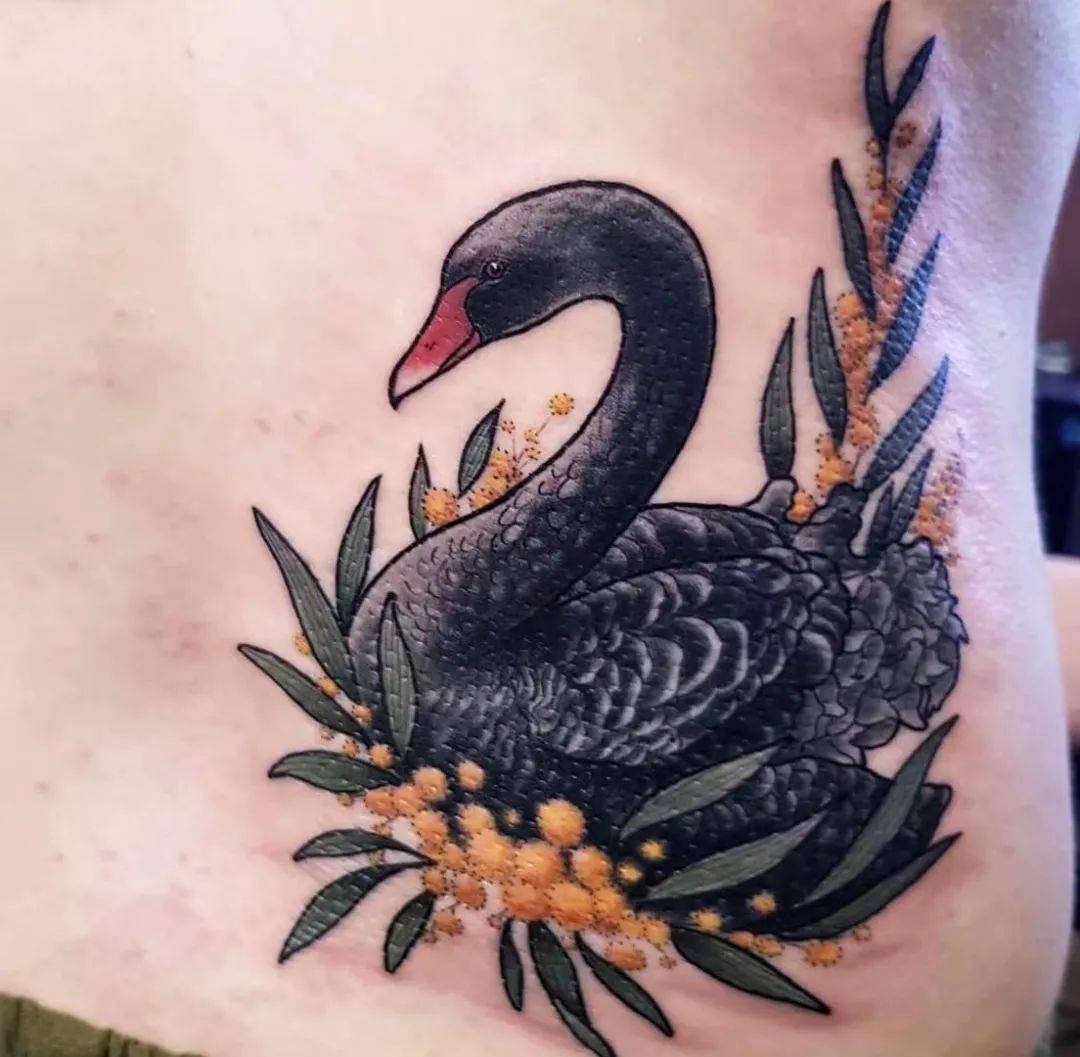 高贵的黑天鹅纹身