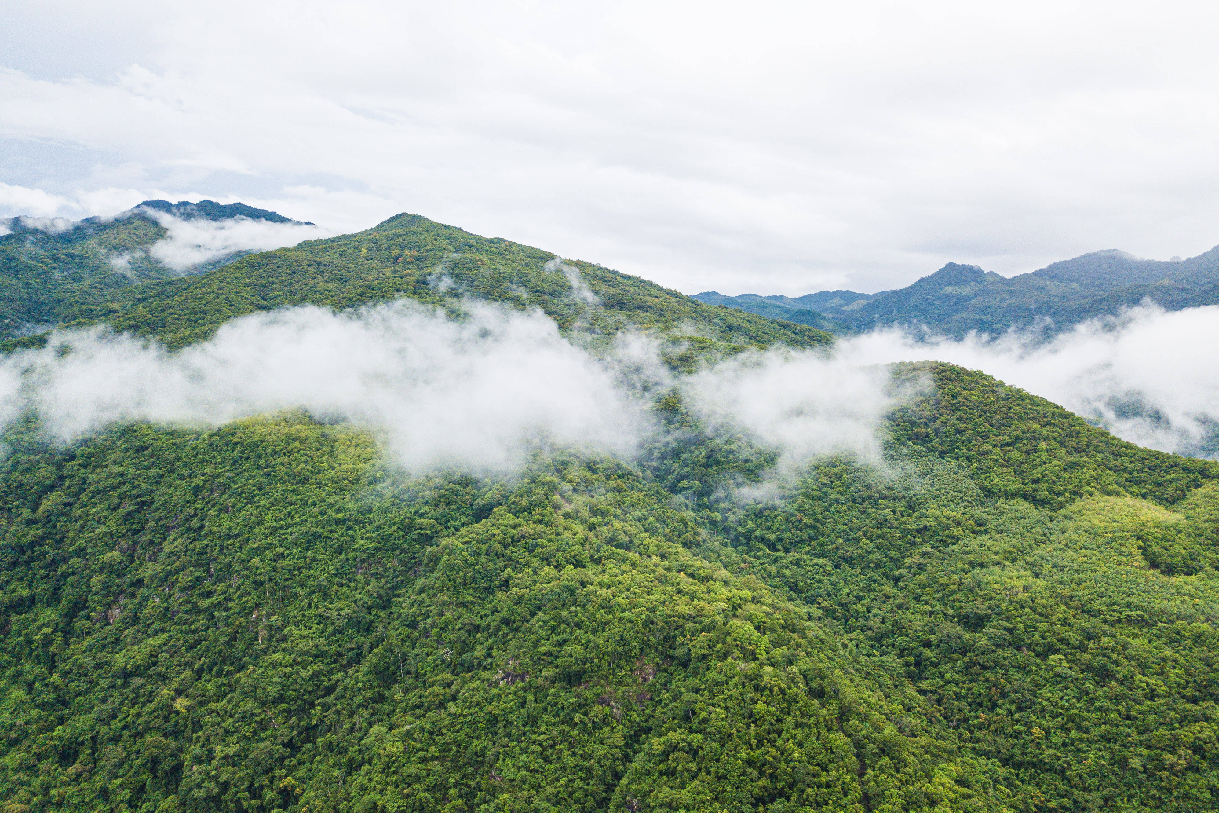 海南热带雨林国家公园鹦哥岭片区风光(9月27日摄,无人机照片.