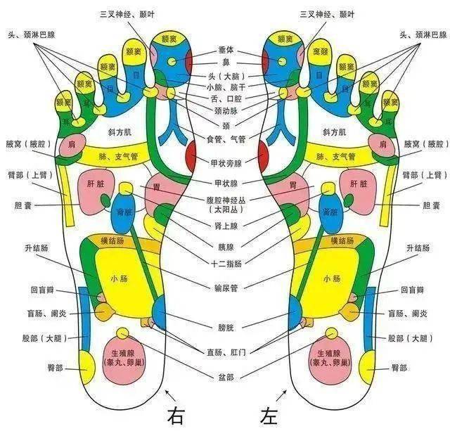 双脚 双层绒 脚感软 暖和不闷脚