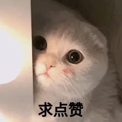 b764b195304e49c79b414b5921e2dbd3.png