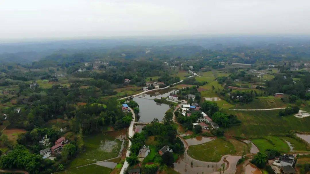 县党代会结束后,马踏镇党委政府就贯彻落实党代会精神开展了专题学习