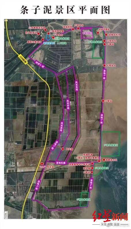 游客|极危物种勺嘴鹬保护区被大量游客涌入赶海 疑开发为游乐园 景区：禁止下滩，人流量过大难以控制