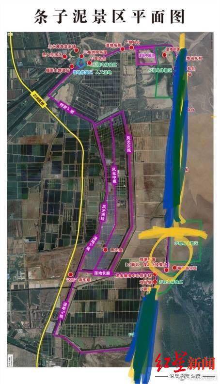 游客|极危物种勺嘴鹬保护区被大量游客涌入赶海 疑开发为游乐园 景区：禁止下滩，人流量过大难以控制