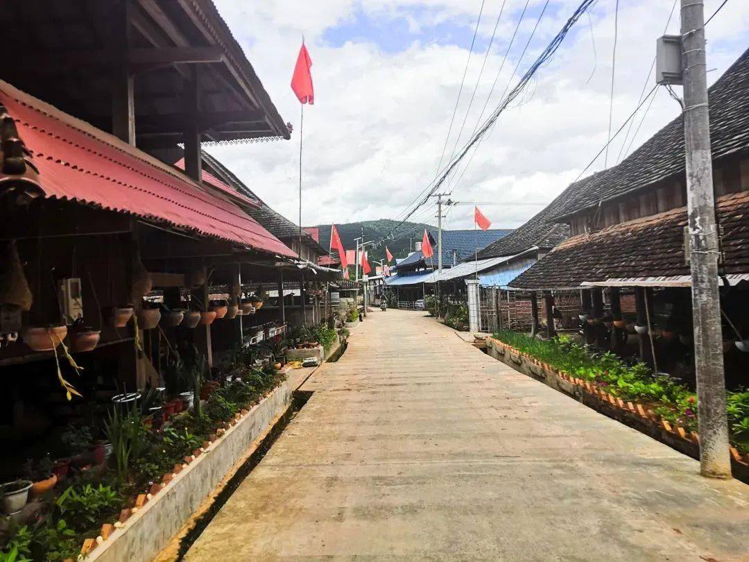 勐腊县勐伴镇勐伴村有序推进农村环境卫生治理