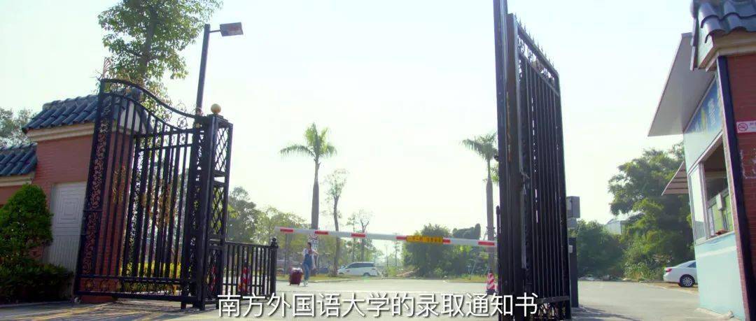 青春|每一部库存剧都是观众的劫难