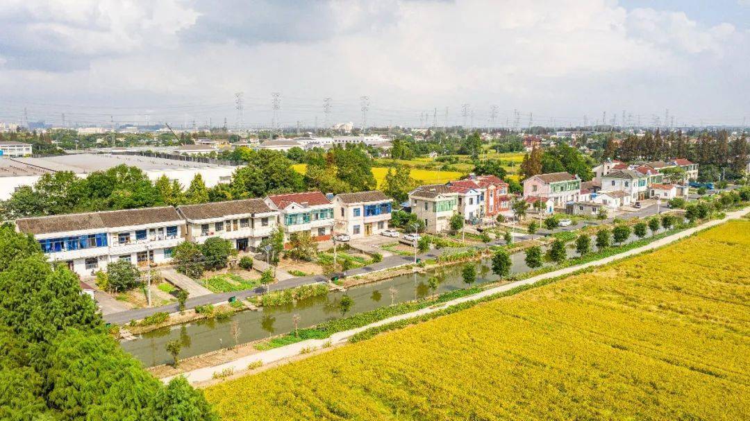 锦丰12个村入围看看有你们村吗