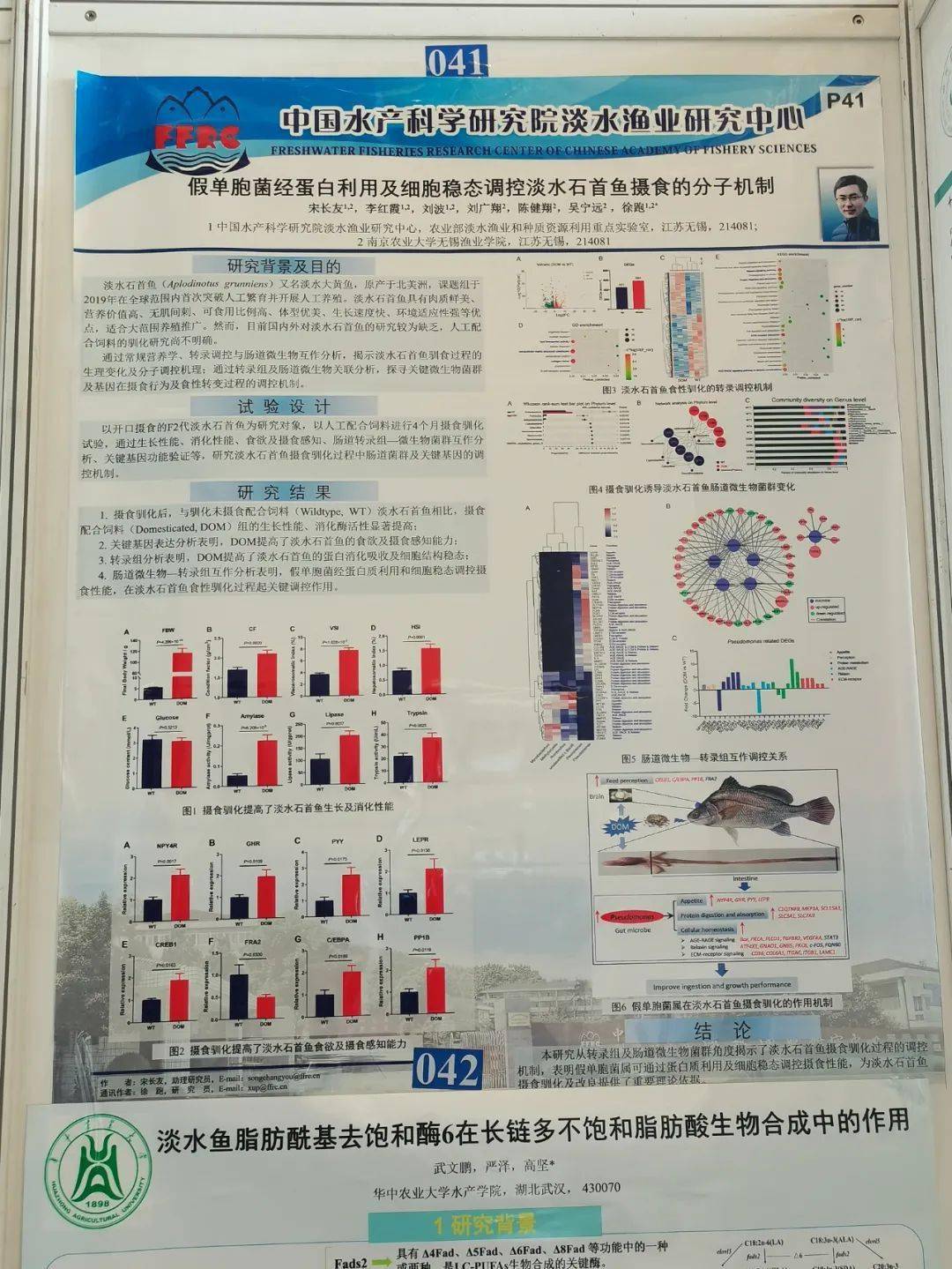 优秀学术会议墙报ppt图片